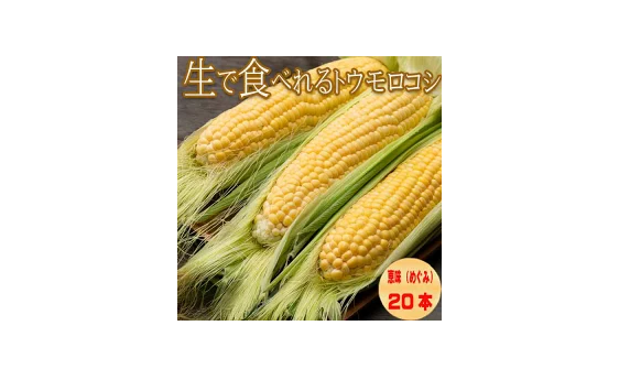 北海道 富良野産 生で食べれる フルーツ とうもころこし恵味 秀品 Lから2Lサイズ混み 20本│お手頃特価・激安通販